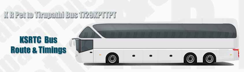 K R Pet to Tirupathi Bus 1729KPTTPT